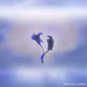 Meet your Posher, Marley